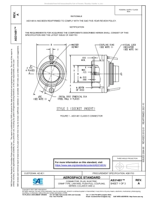 SAE AS31481A-2021.pdf