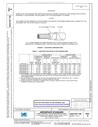 SAE AS22759-96B-2022.pdf