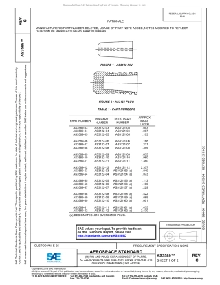 SAE AS3589C-2019.pdf