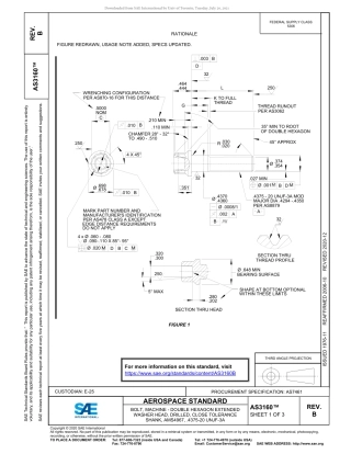 SAE AS3160B-2020.pdf