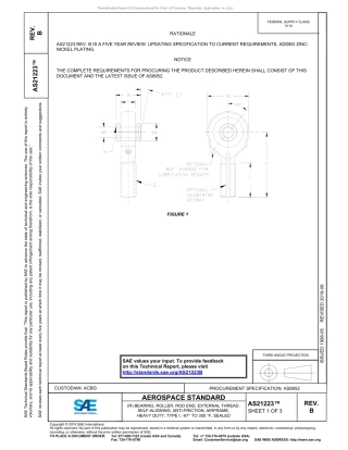 SAE AS21223B-2019.pdf