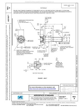 SAE AS3169B-2020.pdf