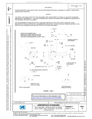 SAE AS9285C-2021.pdf