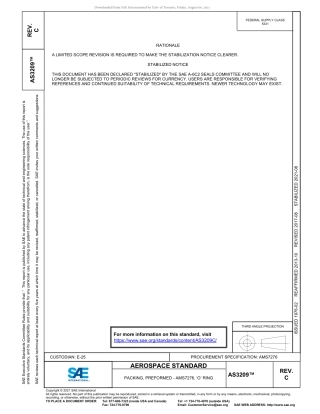 SAE AS3209C-2021.pdf