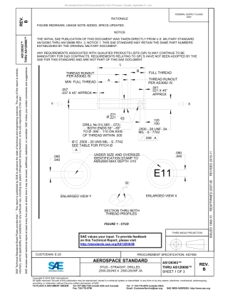 SAE AS128363B - AS128686B-2019.pdf