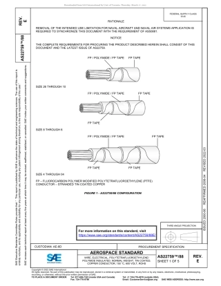 SAE AS22759-88E-2022.pdf