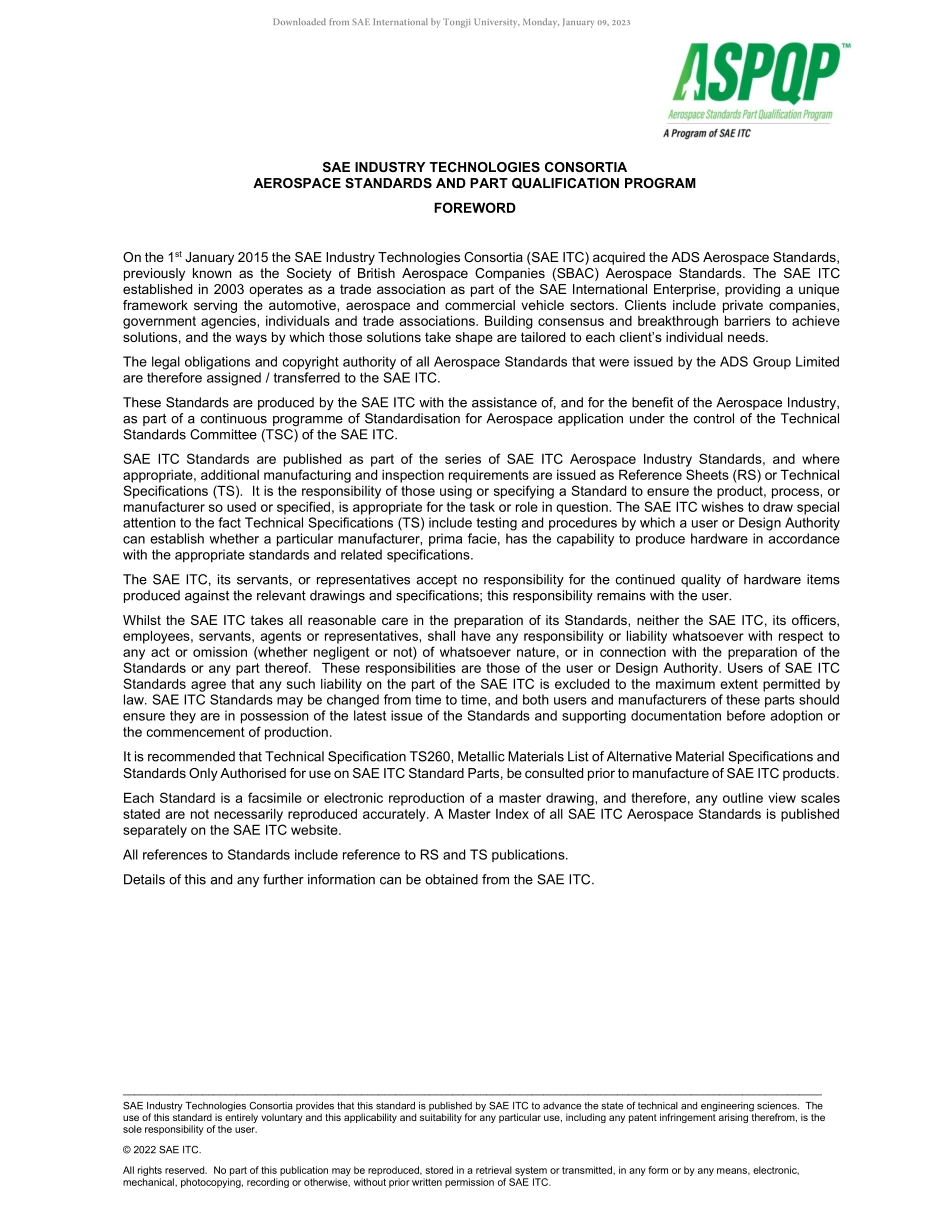 SAE AS63298-299-AR-2022.pdf_第2页