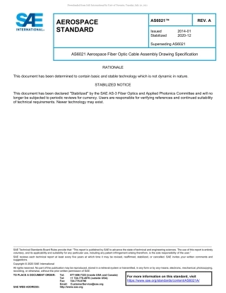 SAE AS6021A-2020.pdf