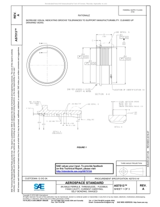 SAE AS7513A-2019.pdf