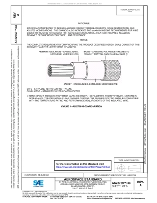SAE AS22759-43A-2021.pdf