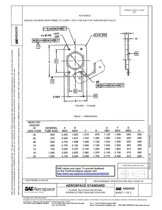 SAE AS24335-2013.pdf