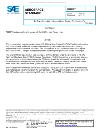 SAE AS85075-2017.pdf