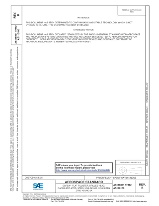 SAE AS116051B - AS116100B-2014.pdf
