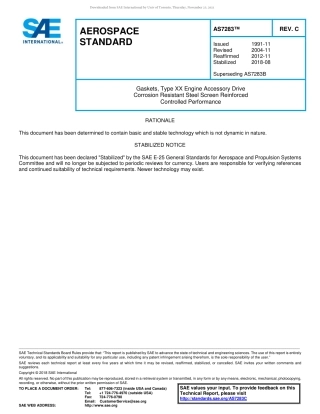 SAE AS7283C-2018.pdf