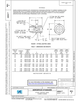 SAE AS933F-2022.pdf