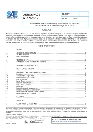 SAE AS6999-2024.pdf