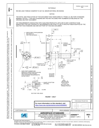 SAE AS9699C-2021.pdf