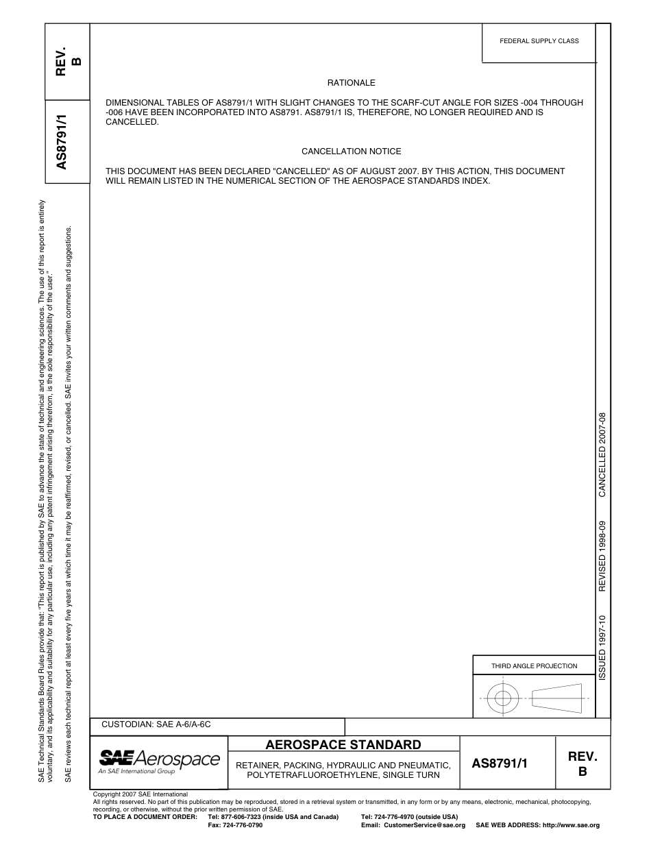 SAE AS8791-1B-2007.pdf_第1页