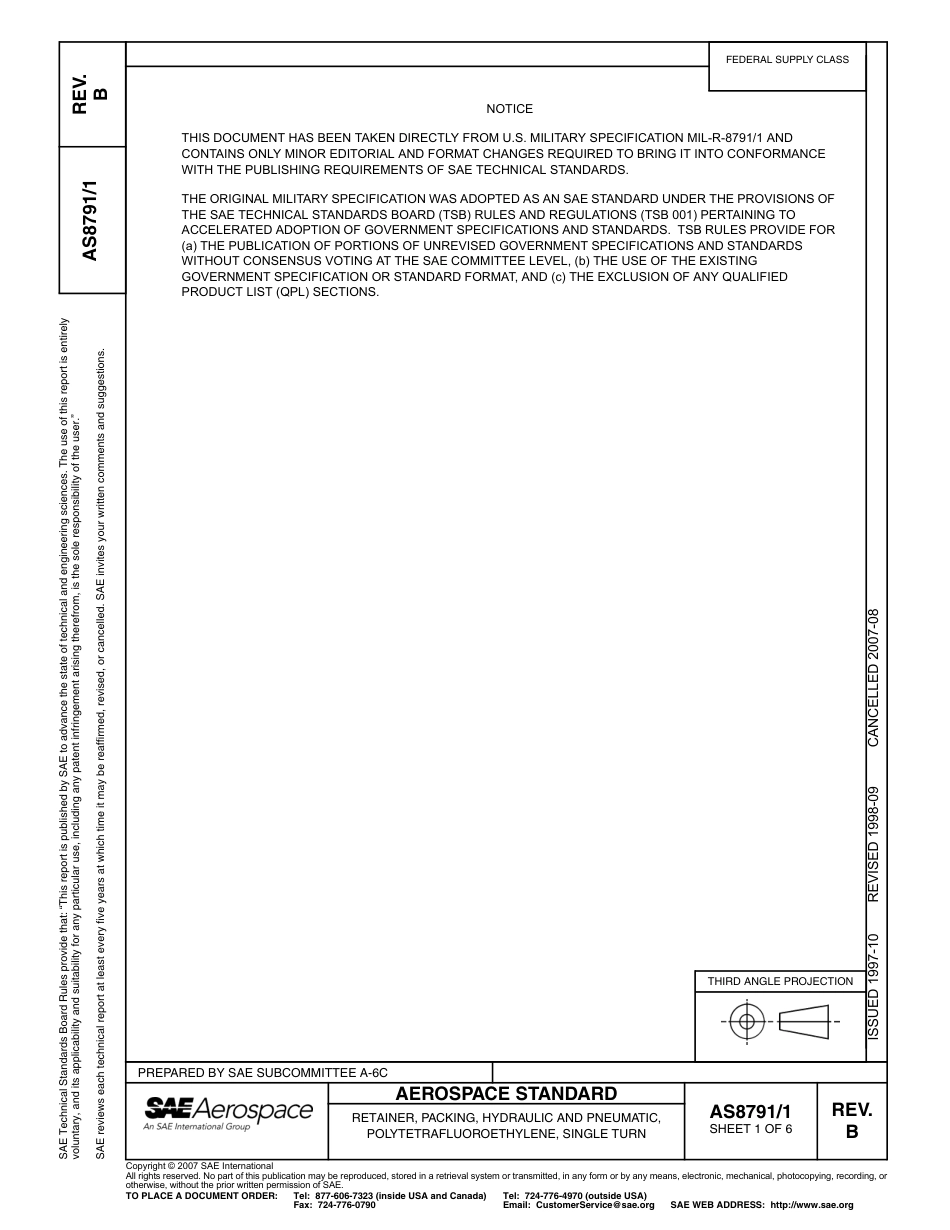 SAE AS8791-1B-2007.pdf_第3页