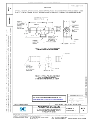 SAE AS6098B-2021.pdf
