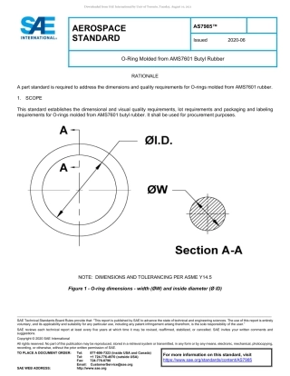 SAE AS7985-2020.pdf