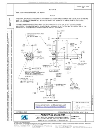 SAE AS9717-2021.pdf