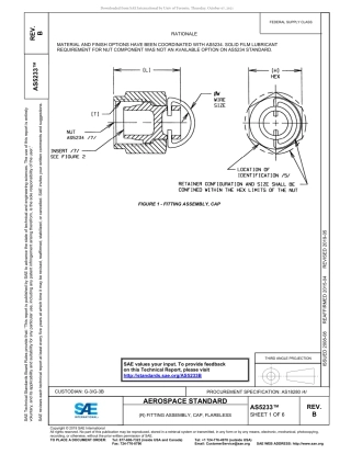 SAE AS5233B-2019.pdf