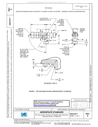 SAE AS4134E-2019.pdf