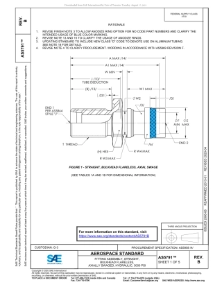 SAE AS5791B-2020.pdf