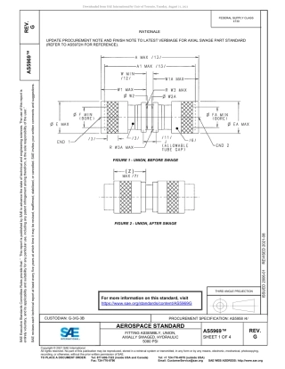 SAE AS5969G-2021.pdf