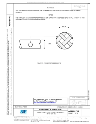 SAE AS60491-3-2019.pdf