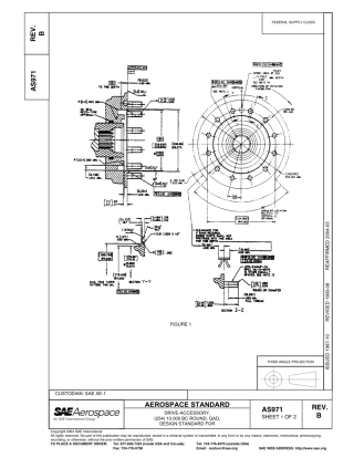 SAE AS971b-2004.pdf