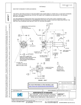 SAE AS9720-2022.pdf