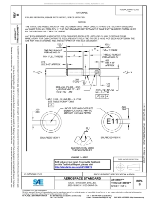 SAE AS128687B - AS128998B-2019.pdf