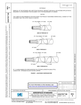SAE AS22759-86E-2022.pdf