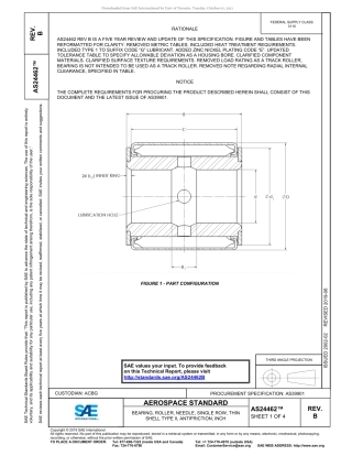 SAE AS24462B-2019.pdf