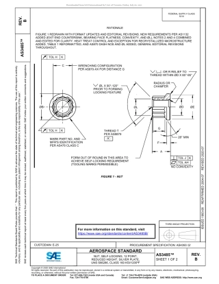 SAE AS3485B-2020.pdf