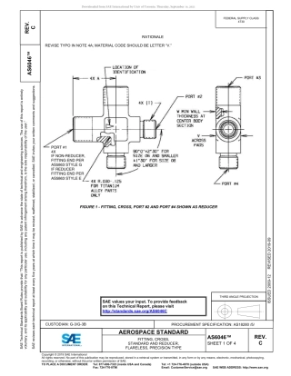 SAE AS6046C-2019.pdf