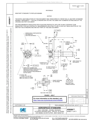 SAE AS9580-2021.pdf