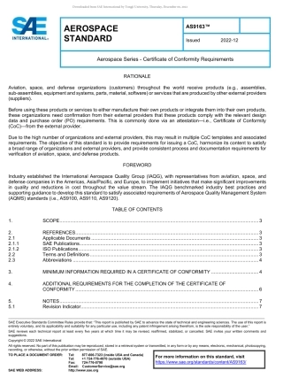 SAE AS9163-2022.pdf