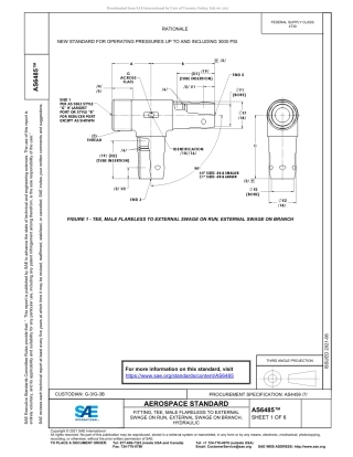 SAE AS6485-2021.pdf