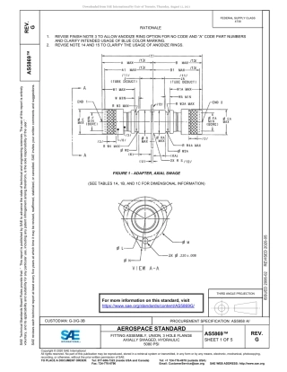 SAE AS5869G-2020.pdf