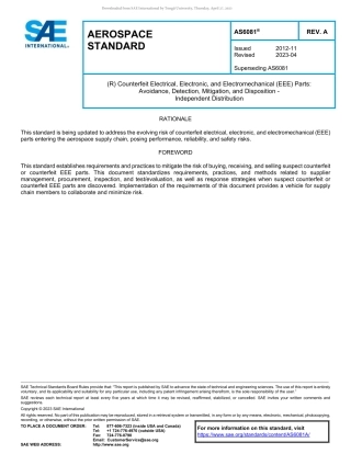 SAE AS6081A-2023.pdf