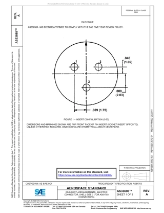 SAE AS33698A-2022.pdf