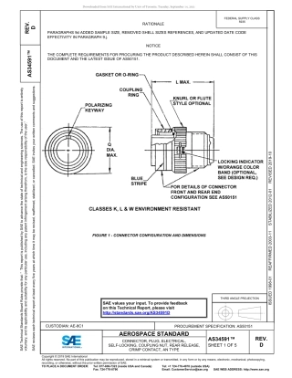 SAE AS34591D-2019.pdf