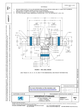 SAE AS5972H-2020.pdf