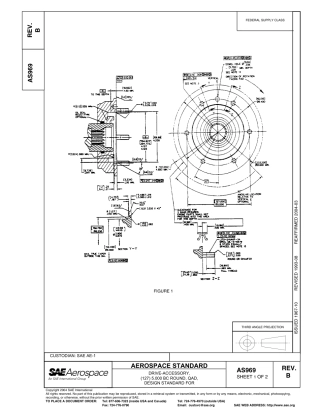SAE AS969B-2004.pdf