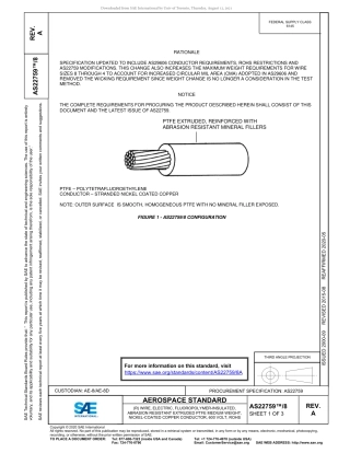SAE AS22759-8A-2020.pdf