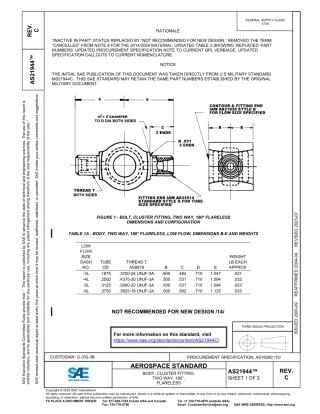 SAE AS21944C-2023.pdf