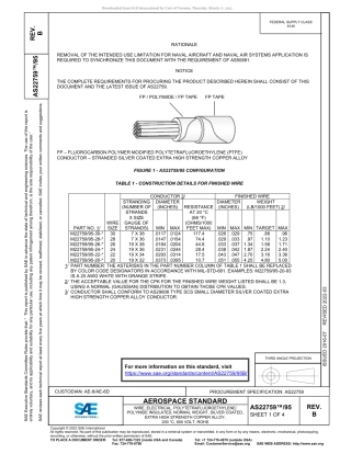 SAE AS22759-95B-2022.pdf